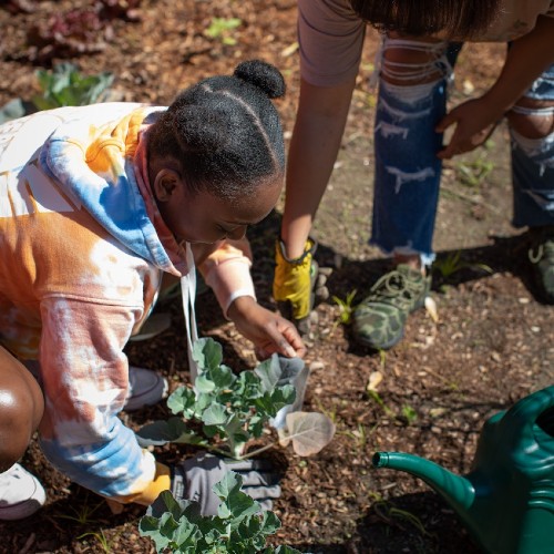 Community Garden Initiatives grant